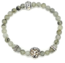 Band for Invicta Elements Men 35913