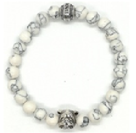 Band for Invicta Elements Men 35910