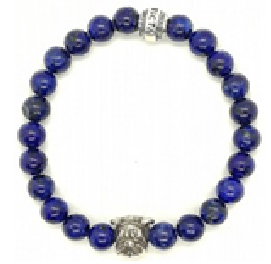 Band for Invicta Elements Men 35911