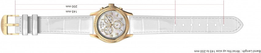 Image Band for Invicta Angel 0582