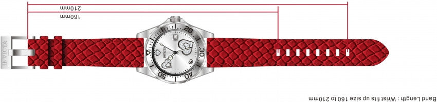 Image Band for Invicta Pro Diver 12402