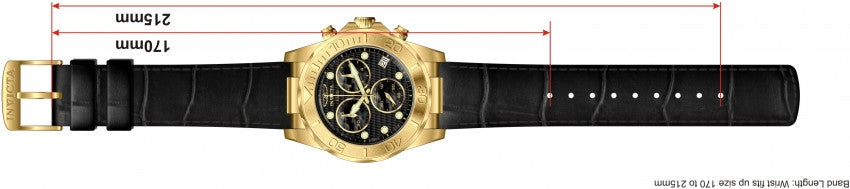 Image Band for Invicta Pro Diver 1721