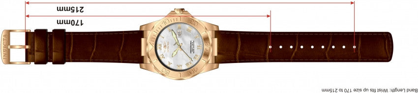 Image Band for Invicta Pro Diver 1713