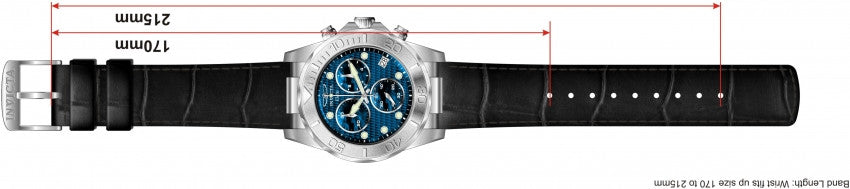 Image Band for Invicta Pro Diver 1717