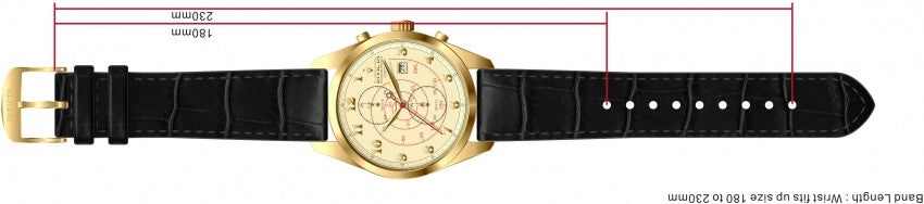 Image Band for Invicta Vintage 12388