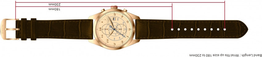 Image Band for Invicta Vintage 12391
