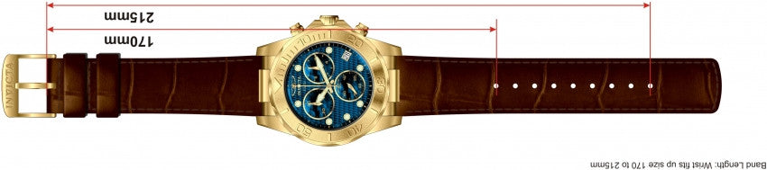 Image Band for Invicta Pro Diver 1722