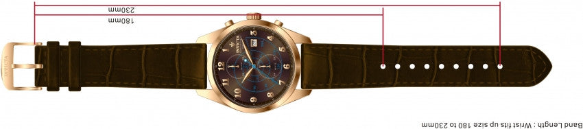 Image Band for Invicta Vintage 12389