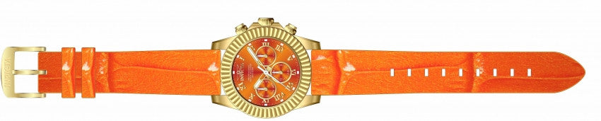 Image Band for Invicta Pro Diver 18486